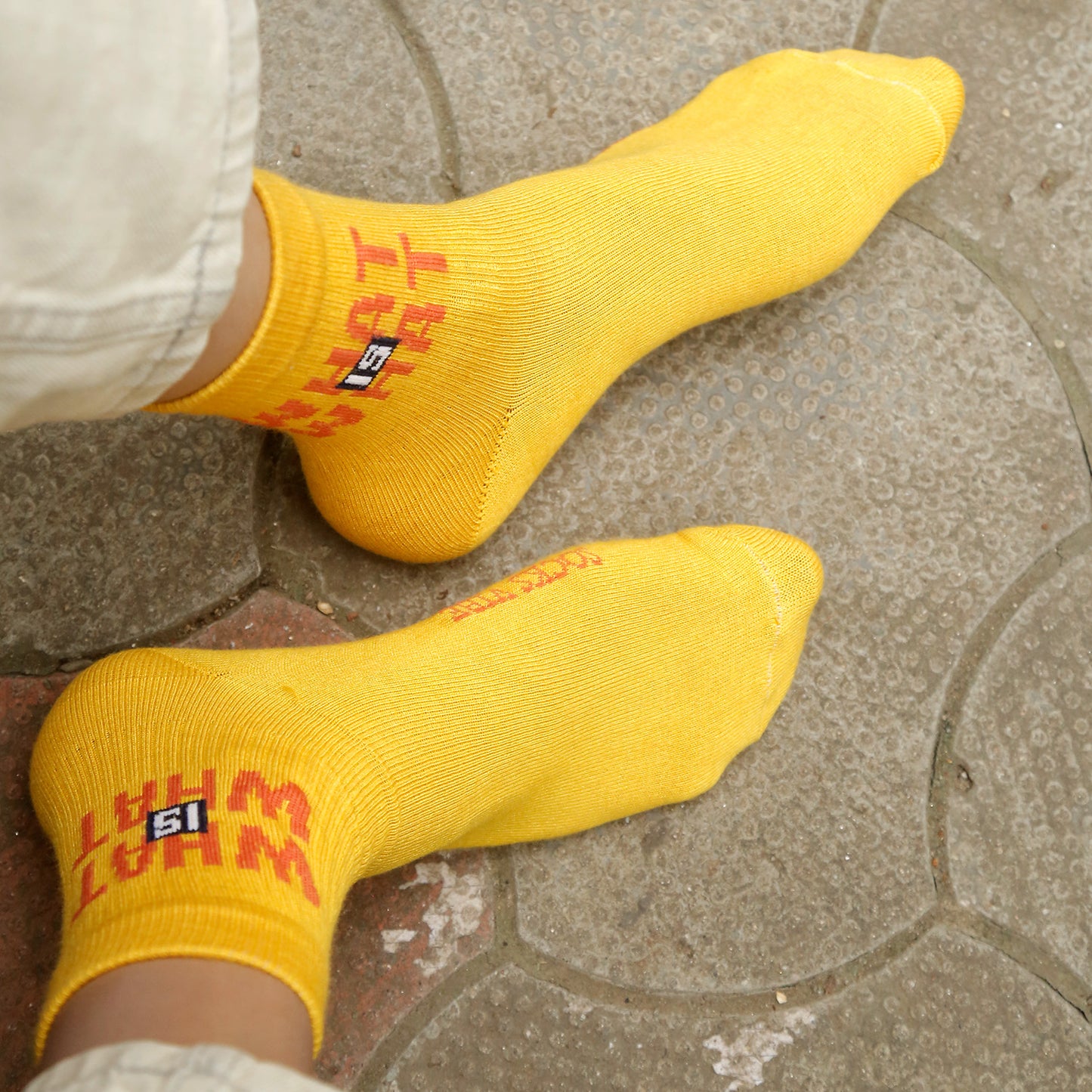 Bamboo Crew Socks for Men & Women – Graphic “What Is What” Design